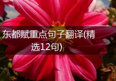 东都赋重点句子翻译(精选12句)