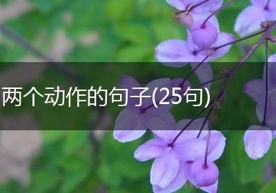 两个动作的句子(25句)