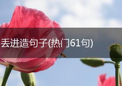 丢进造句子(热门61句)