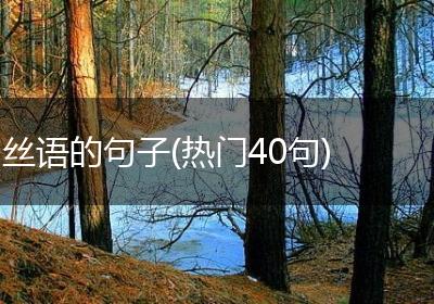 丝语的句子(热门40句)