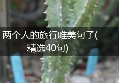 两个人的旅行唯美句子(精选40句)