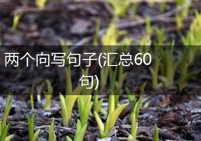 两个向写句子(汇总60句)