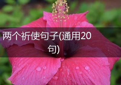 两个祈使句子(通用20句)