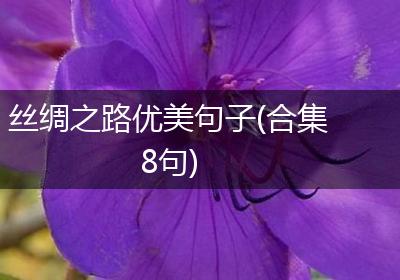 丝绸之路优美句子(合集8句)