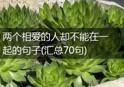两个相爱的人却不能在一起的句子(汇总70句)