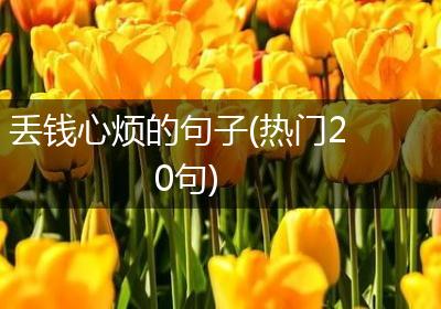 丢钱心烦的句子(热门20句)