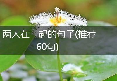 两人在一起的句子(推荐60句)