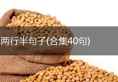 两行半句子(合集40句)