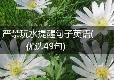 严禁玩水提醒句子英语(优选49句)