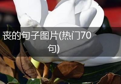 丧的句子图片(热门70句)