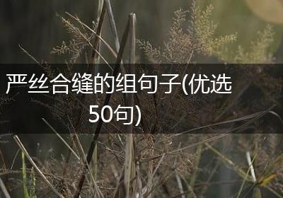 严丝合缝的组句子(优选50句)