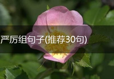 严厉组句子(推荐30句)