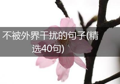 不被外界干扰的句子(精选40句)