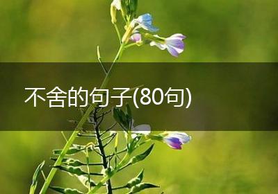不舍的句子(80句)