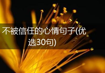 不被信任的心情句子(优选30句)