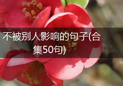不被别人影响的句子(合集50句)