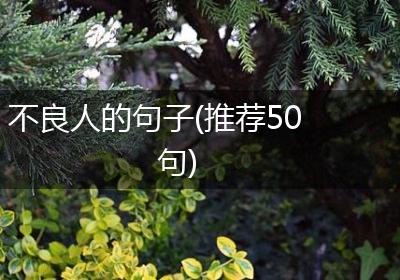 不良人的句子(推荐50句)