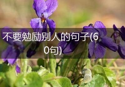 不要勉励别人的句子(60句)