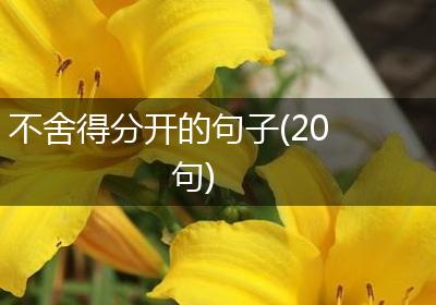 不舍得分开的句子(20句)