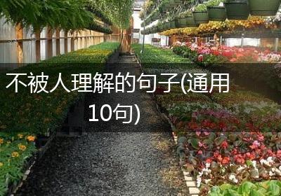 不被人理解的句子(通用10句)