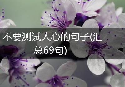 不要测试人心的句子(汇总69句)