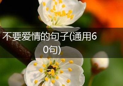 不要爱情的句子(通用60句)