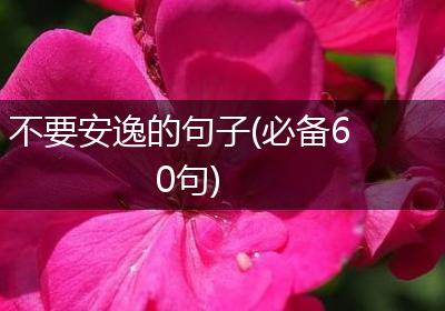 不要安逸的句子(必备60句)