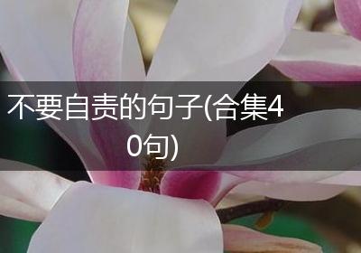 不要自责的句子(合集40句)