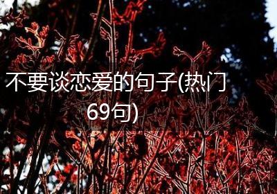 不要谈恋爱的句子(热门69句)