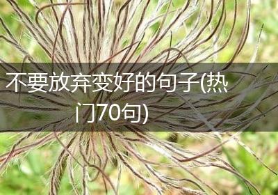 不要放弃变好的句子(热门70句)