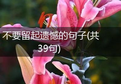 不要留起遗憾的句子(共39句)