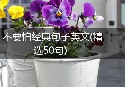 不要怕经典句子英文(精选50句)