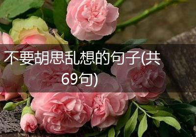不要胡思乱想的句子(共69句)