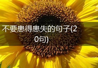 不要患得患失的句子(20句)