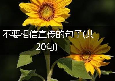 不要相信宣传的句子(共20句)