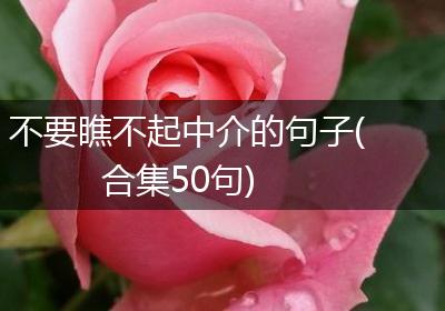 不要瞧不起中介的句子(合集50句)
