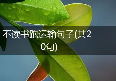 不读书跑运输句子(共20句)