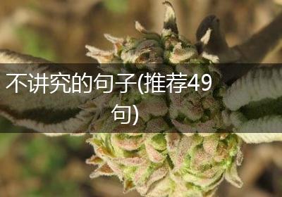 不讲究的句子(推荐49句)
