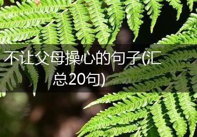 不让父母操心的句子(汇总20句)