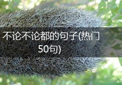 不论不论都的句子(热门50句)