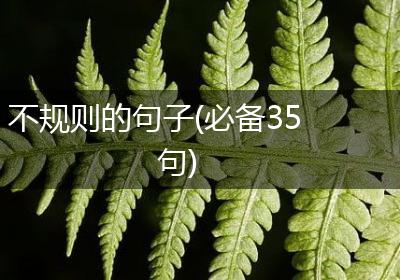 不规则的句子(必备35句)