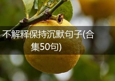 不解释保持沉默句子(合集50句)