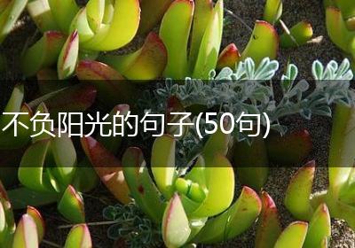 不负阳光的句子(50句)