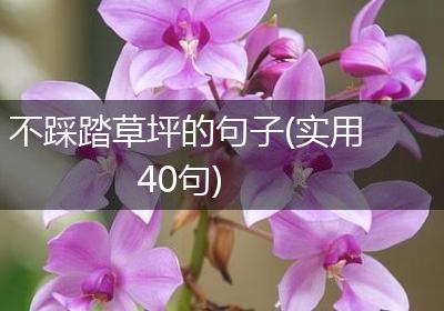 不踩踏草坪的句子(实用40句)