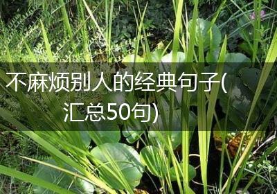 不麻烦别人的经典句子(汇总50句)