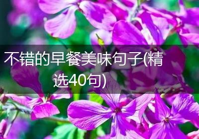 不错的早餐美味句子(精选40句)