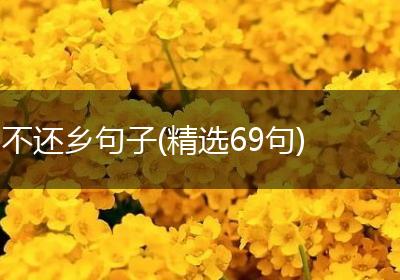 不还乡句子(精选69句)