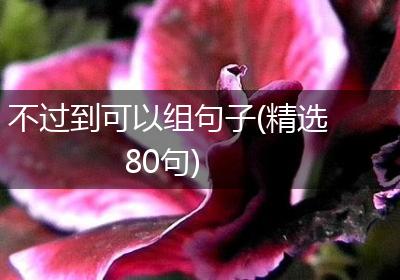 不过到可以组句子(精选80句)