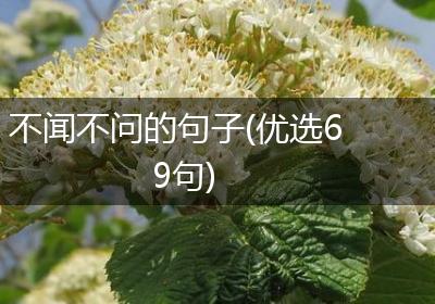 不闻不问的句子(优选69句)