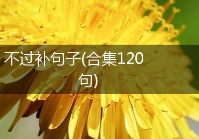 不过补句子(合集120句)